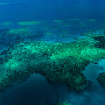 The Great Barrier Reef in Australia