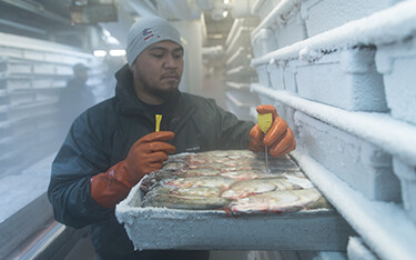 A United States Seafoods employee checking fish block temperatures.