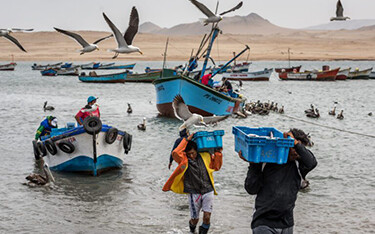 Peurivan fishers landing their catch.