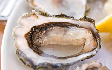 An oyster on the half-shell.