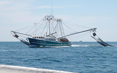 NOAA forecasts smaller Gulf of Mexico “dead zone” this summer