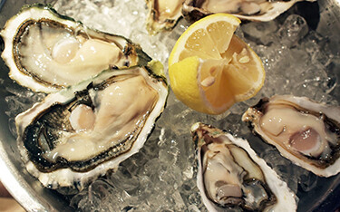 Raw oysters on the half shell