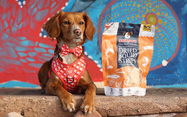 A dog posing next to a bag of dried squid strips produced by Skipper's Pet Products
