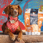 A dog posing next to a bag of dried squid strips produced by Skipper's Pet Products