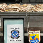 A display of the totoaba bladders seized by U.S. Customs and Border Protection