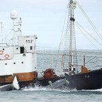 A Hvalur whaling vessel.
