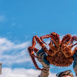 A fisherman holding up a red king crab.