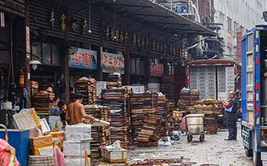 A seafood market in Guangzhou, China.