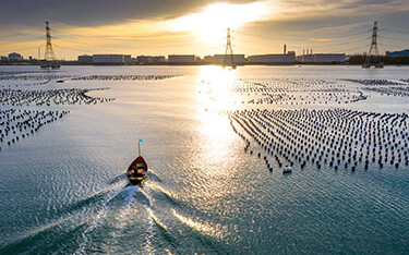 A mussel farm in Thailand.
