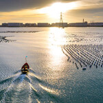A mussel farm in Thailand.