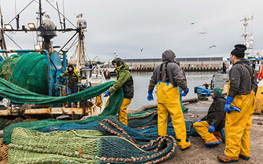 A crew of a U.K. fishing vessel at work.