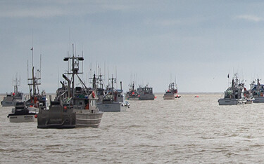 Fishing boats on Bristol Bay.