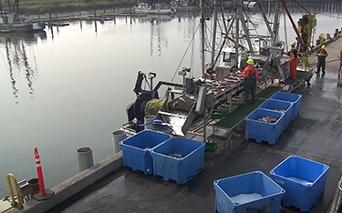 Pacific Seafood's Warrenton plant.