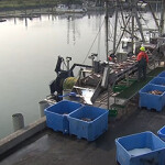 Pacific Seafood's Warrenton plant.