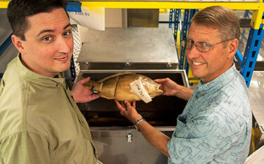 NOAA, FDA release DNA barcode library to identify fish