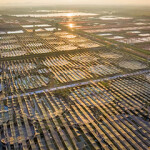 A shrimp farm in Vietnam.