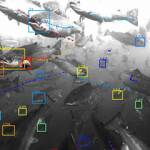 Mowi's Tidal project.