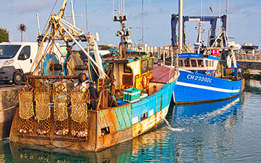 French scallop vessels.