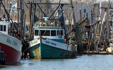 A row of fishing boats lining a dock in New Jersey