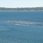 A salmon farm in Chile.