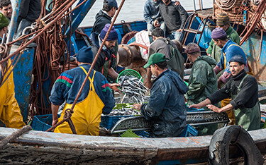 Fishermen in Morocco.