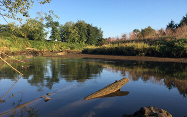 Washington-based seafood processor fined for wastewater violations