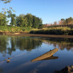 Washington-based seafood processor fined for wastewater violations