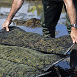 An oyster farmer adjusting a bag of oysters.