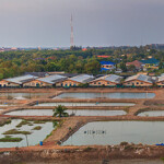 A shrimp farm.