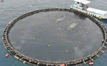 A Nissui aquaculture net-pen.