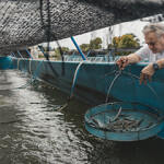 Blue Aqua International.