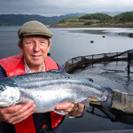 Steelhead trout from Kames Fish Farming.