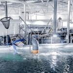 An AKVA Group post-smolt recirculating aquaculture system.