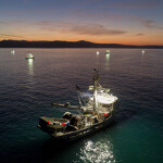 Squid fishing boats on the water at sunset.