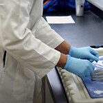 A Tru Shrimp employee with four shrimp in a laboratory setting.