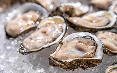 Raw oysters on the half shell on a bed of ice.