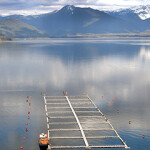 A Chilean salmon farm.