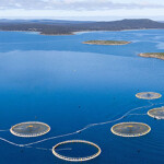 Clean Seas aquaculture facility in Australia