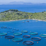 An Avramar farm in the Mediterranean.