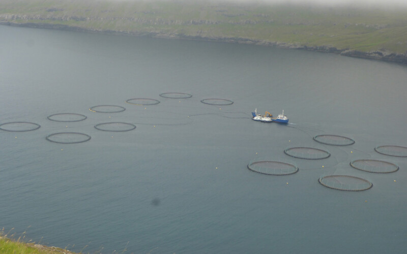 A Bakkafrost salmon farm in the Faroe Islands