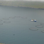 A Bakkafrost salmon farm in the Faroe Islands