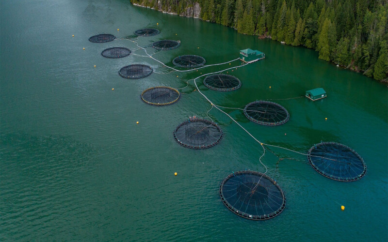 An aerial view of salmon farms in British Columbia, Canada