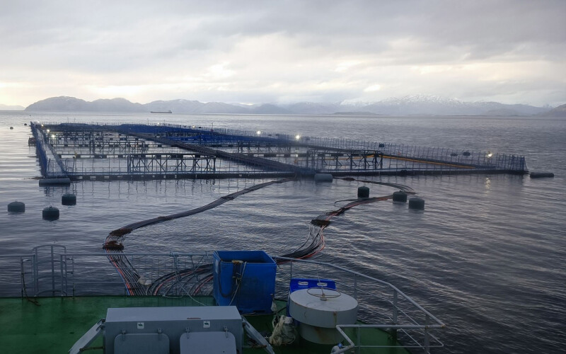 Blumar's Córdova 1 site in the southern Chilean region of Magallanes
