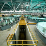 An aerial view of the inside of Proximar Seafood's salmon recirculating aquaculture system facility