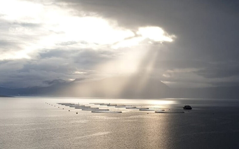 An Ice Fish Farm aquaculture operation in Iceland
