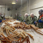 Processing plant workers at Ocean Choice International