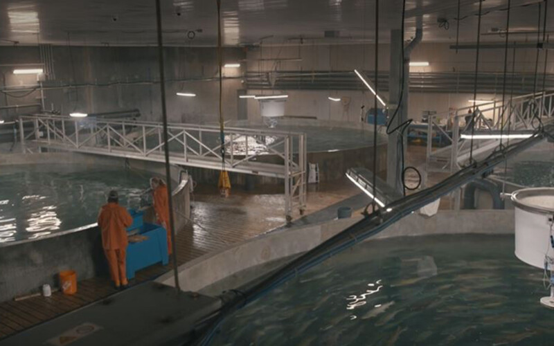 Inside Sustainable Blue's facility in Nova Scotia