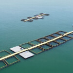 A Barramundi Group farm