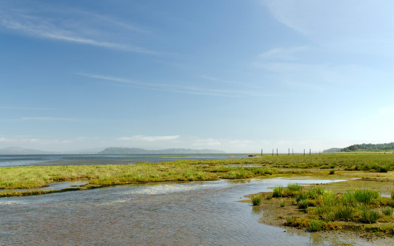 Willapa Bay, Washington, U.S.A.
