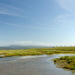 Willapa Bay, Washington, U.S.A.